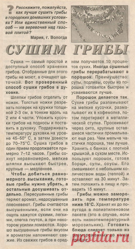 Сушим грибы. Грибной порошок