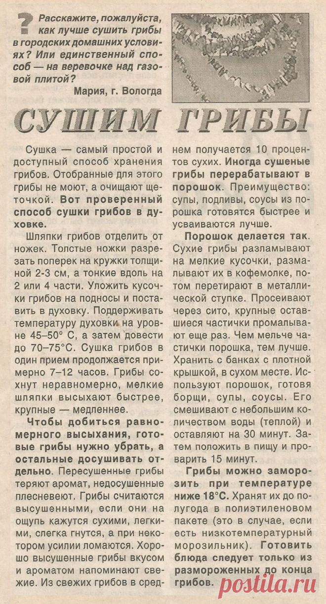 Сушим грибы. Грибной порошок