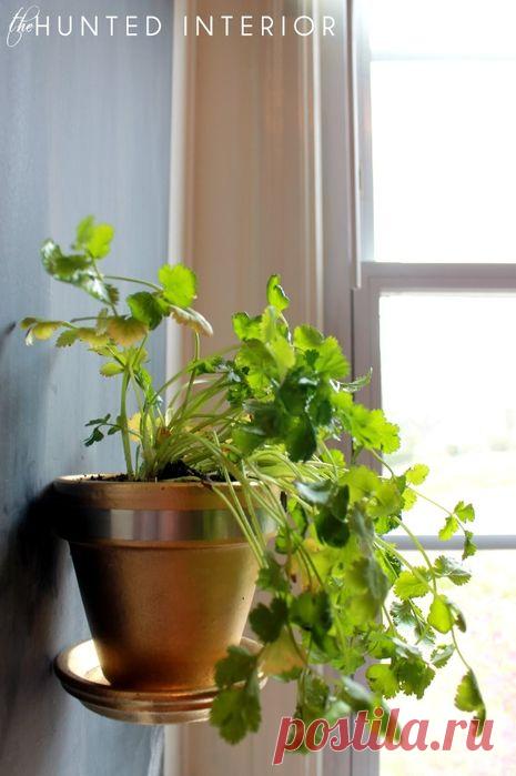 Как подвесить цветочный горшок с поддоном. Идея для балкона