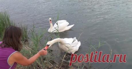 Наталья Селиверстова