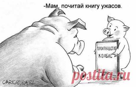 приколы