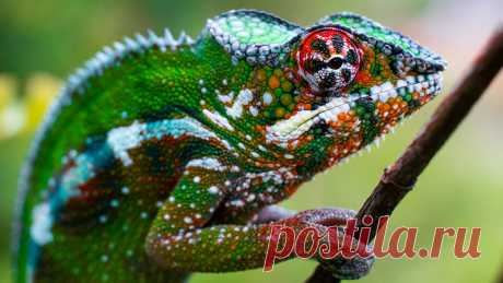 supercoolpics_01_24042013132332.jpg (1230×692)
