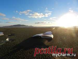 А можно ли переписать сценарий собственной жизни?! Про книжку и психологическую технику. - МирТесен