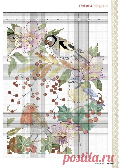 Изображения в записи сообщества