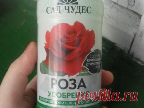 Какие удобрениями нужно подкармливать садовые и комнатные розы: названия подкормок и стимуляторов с описанием
