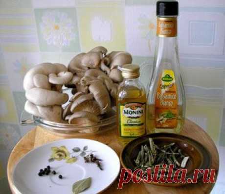 Маринованные вешенки, рецепт грибника