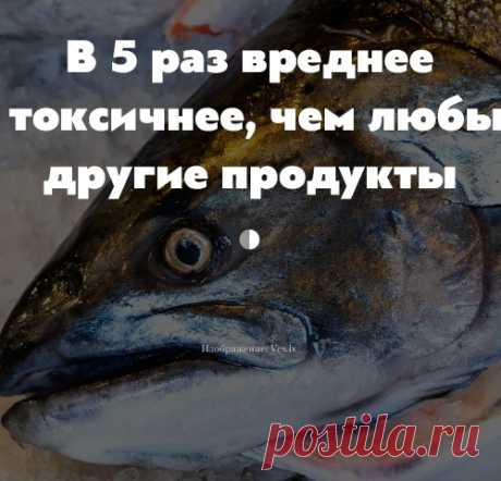 Норвежский лосось — самая токсичная еда во всём мире, заявляют эколог и токсиколог. Подробности шокируют