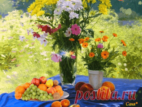 Живые фотографии – Google+