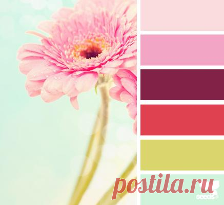 Design Seeds® | find your palette