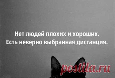 Людмила Ширкова