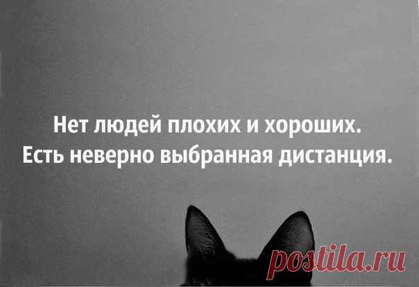 Людмила Ширкова