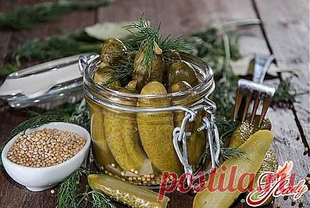 Огурцы маринованные хрустящие: рецепты