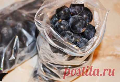 Как заморозить виноград на зиму: правила и рецепты