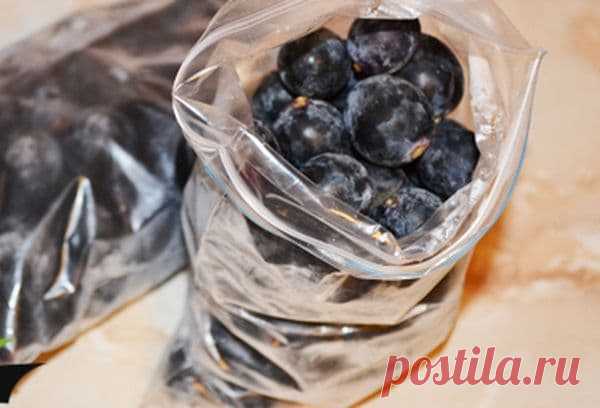 Как заморозить виноград на зиму: правила и рецепты