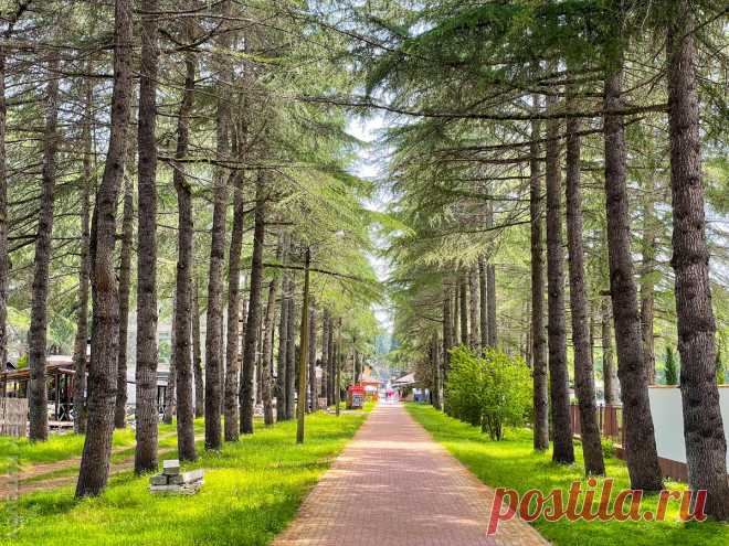 Почему я еще поеду отдыхать в Пицунду в Абхазии, несмотря на недавний инцидент с российскими туристами | Кутовой: путешествия и всё такое | Яндекс Дзен