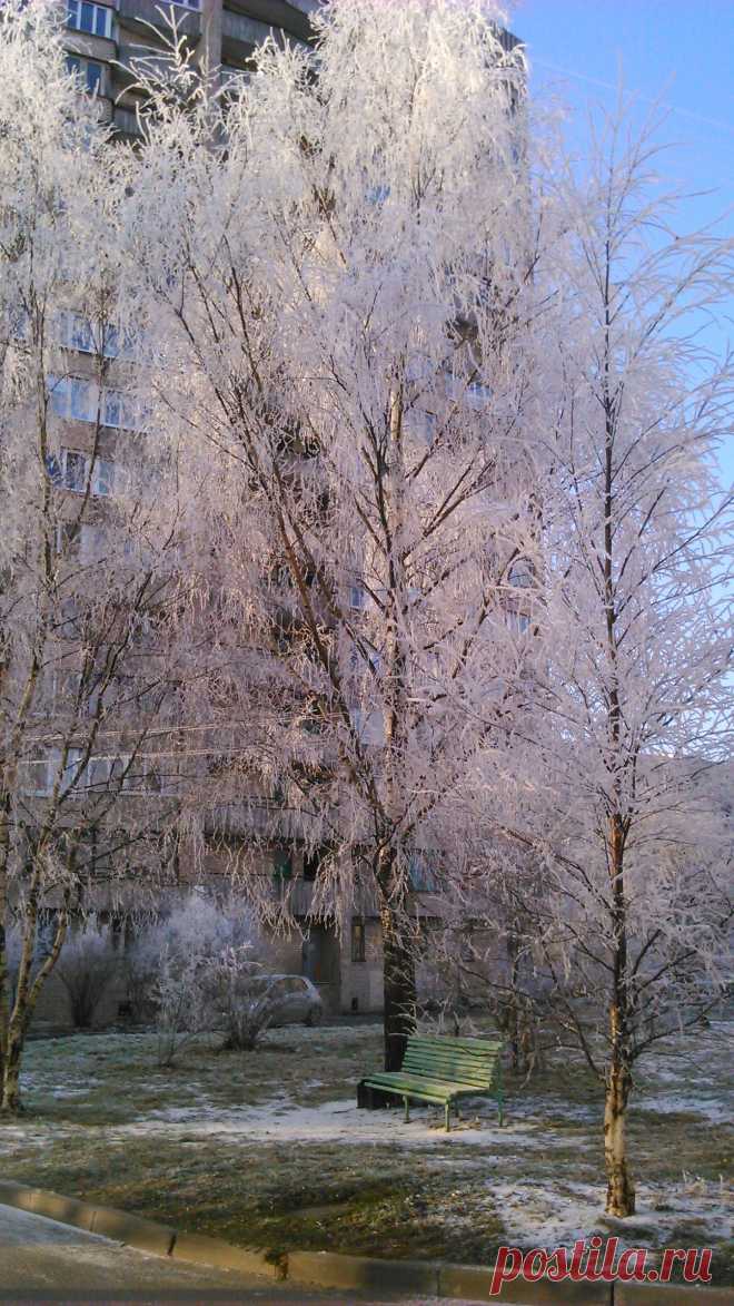 И в иней словно в свадебный наряд деревья приоделись