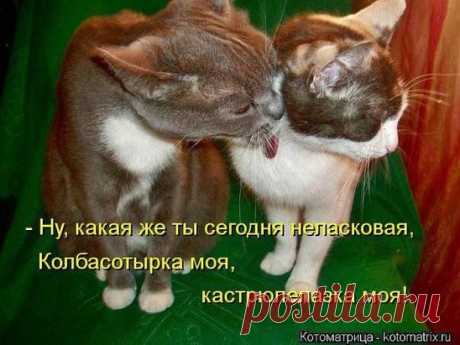 (1) Одноклассники