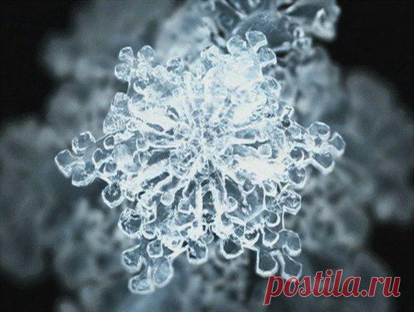 Секреты талой воды