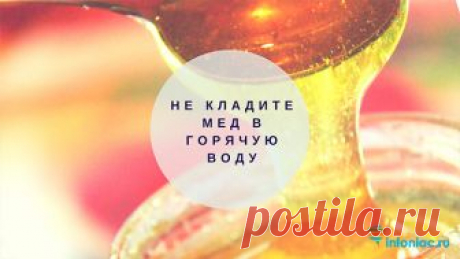 Что произойдет с Вашим организмом, если есть мед каждый день?