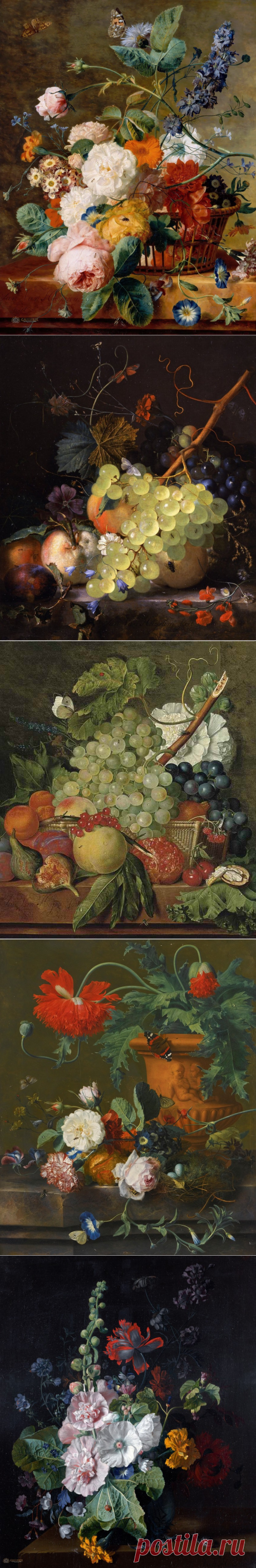 НАТЮРМОРТ В ЖИВОПИСИ . Нидерландский художник Ян ван Хёйсум (1682-1749)