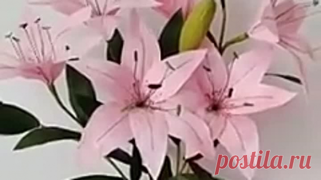10000000_588406878732757_6256253885622324722_n
