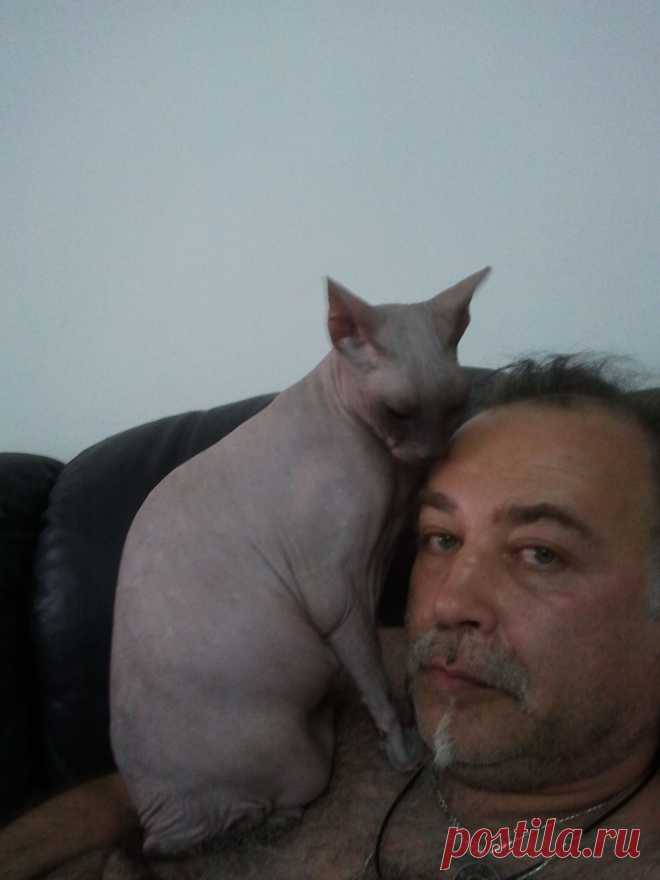 ГЕРДА соскучилась...