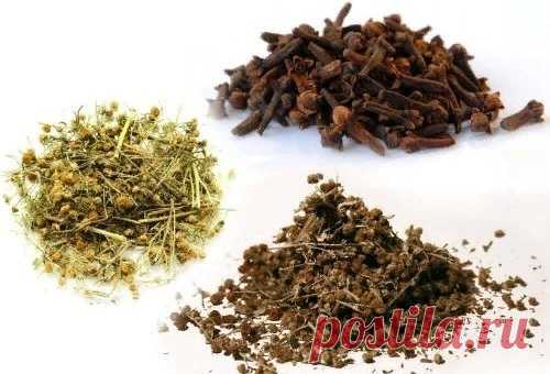 Вариант русской тройчатки доктора Иванченко: убивают более 100 видов 
паразитов и грибков.