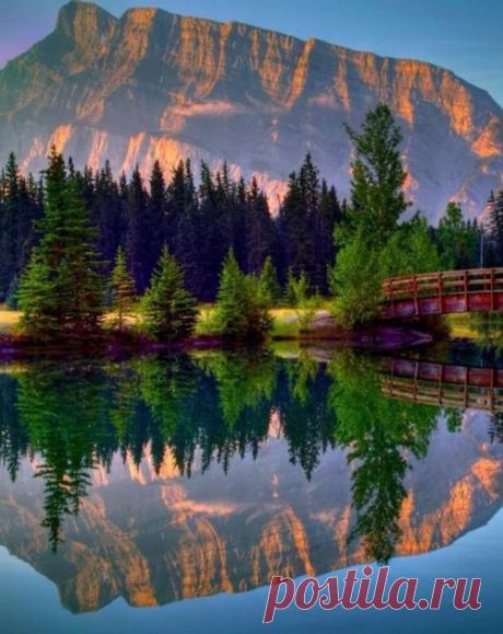 Belle nature