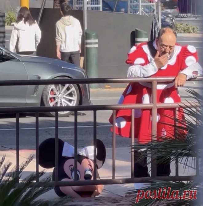 Жизнь — боль... https://seoded.livejournal.com/1339478.html