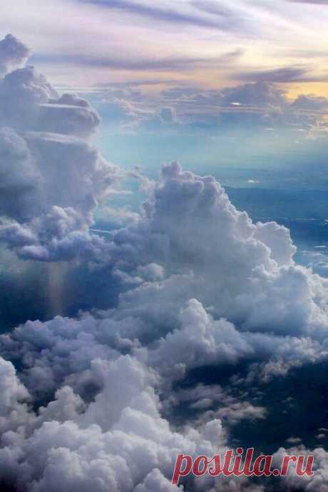Flowersnature Sky