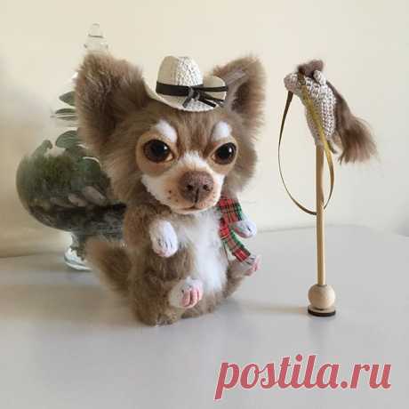 🙋🏼 On Etsy- Chihuahua is a little cowboy 🤠. Portrait doggie height 16 cm (6 in) to the ears, 20 cm with ears. It is sewed from Alpaca Portrait doggie height 16 cm (6 in) to the ears, 20 cm with ears. It is sewed from Alpaca and viscose. Glass eyes 👀 are hand painted. Sewn together with Katya Makogon 🤗🐕Very good! .............🙋🏼‍♀️Чихуахуа- маленький ковбой 🤠 . Портретная собачка рост 16 см ( 6 in) до ушей, 20см с ушками. Сшит из Альпаки Helmbond и вискозы. Стеклян...
