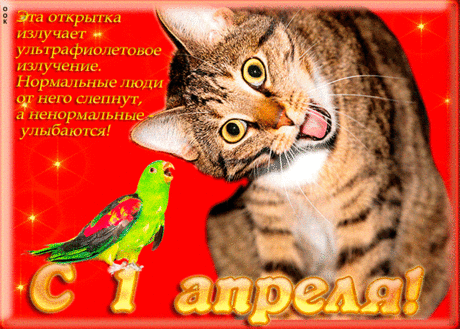 Картинка гиф с 1 апреля - Скачать бесплатно на otkritkiok.ru