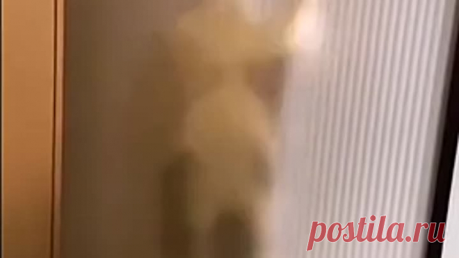 Необычное приведение)