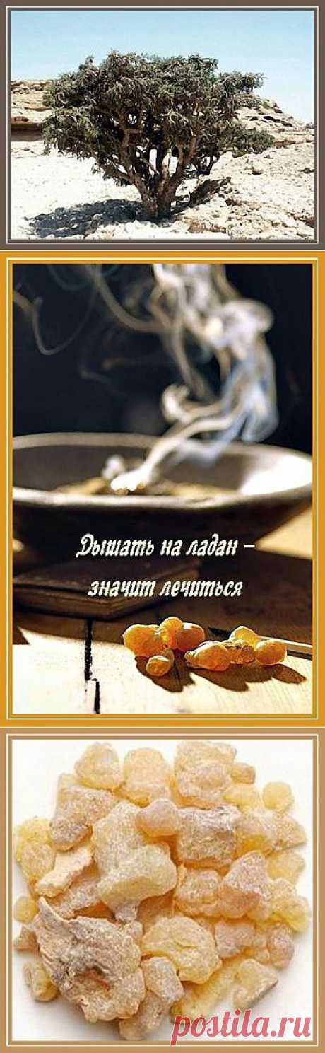 Дышать на ладан - значит лечиться