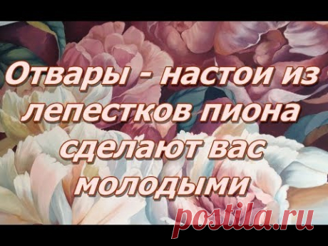 В корнях пиона и его надземной части содержатся углеводы, дубильные и ароматические вещества, эфирное и жирное масла смола, алкалоиды, минеральные вещества и...