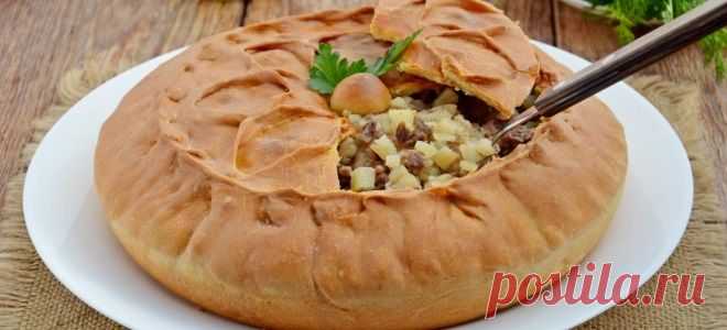 Мясной пирог – рецепт открытого, мексиканского, татарского, заливного и осетинского