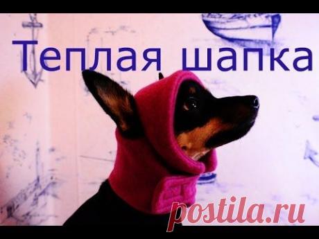 Теплая шапка для той-терьера - мастер-класс