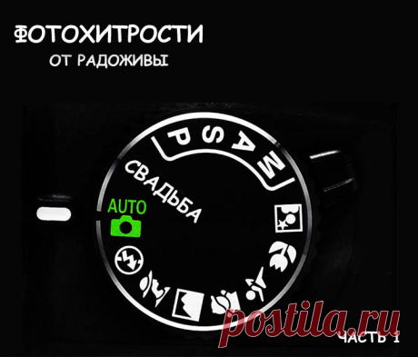 Фотохитрости. Часть первая. | Радожива