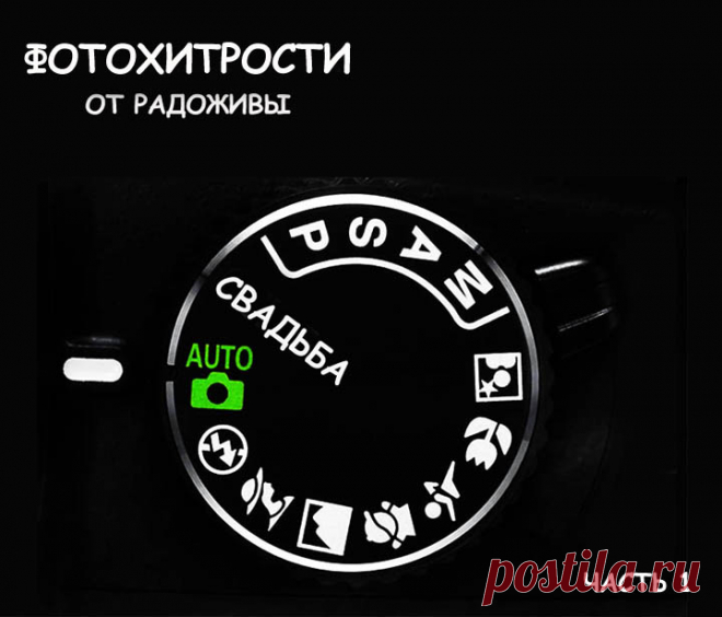 Фотохитрости. Часть первая. | Радожива