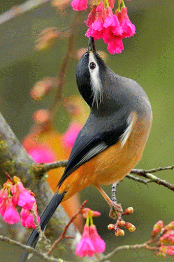 yasr ragp - Google+