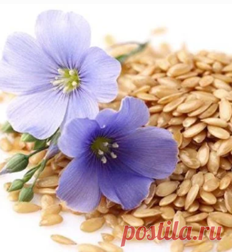 Простой напиток из семян льна поможет Вам похудеть на 10 кг за 1 месяц и избавиться от целлюлита | Еда и здоровье | Яндекс Дзен