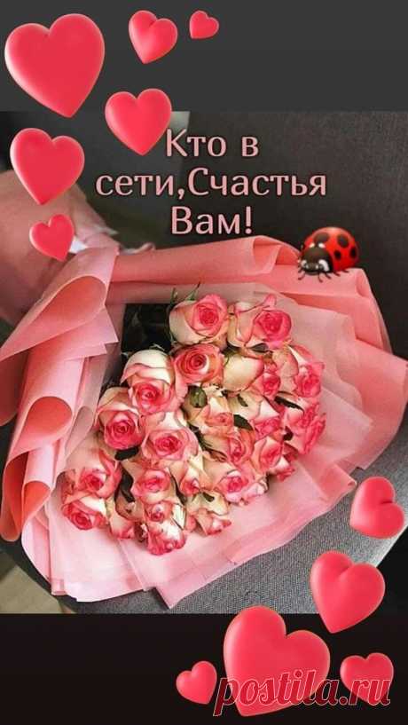 (3) Бабушкина кухня - Группа