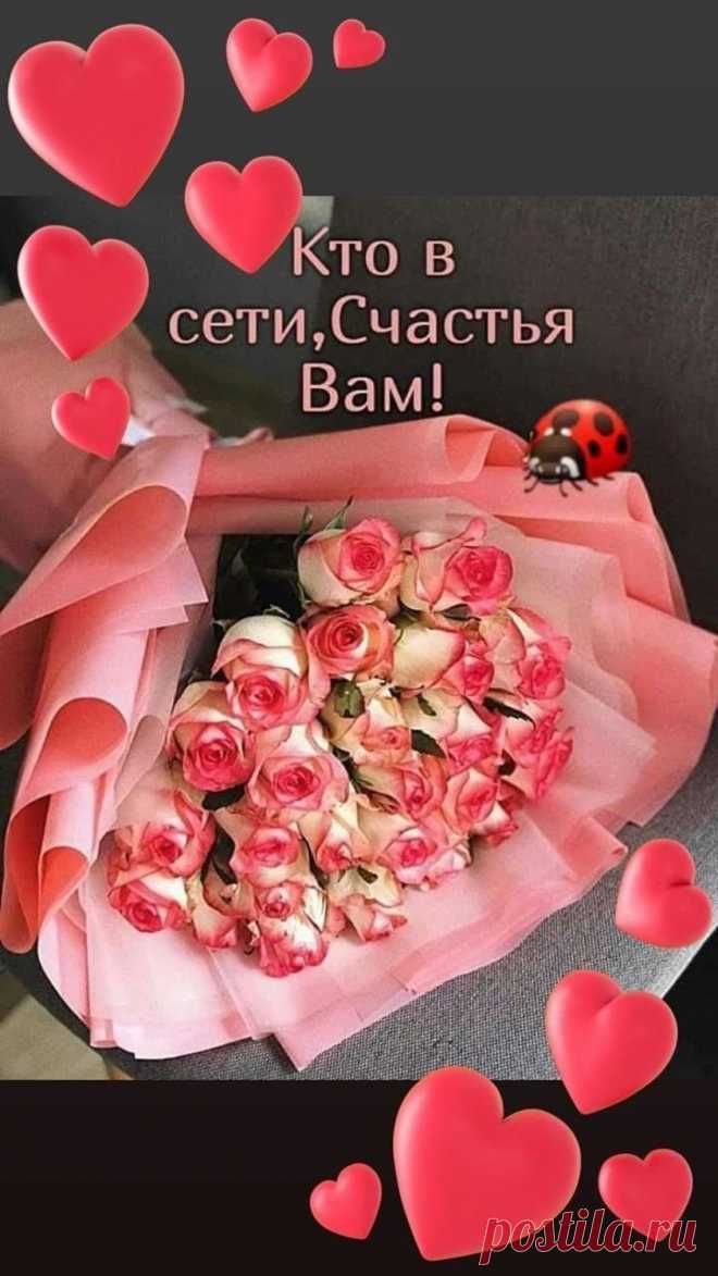 (3) Бабушкина кухня - Группа