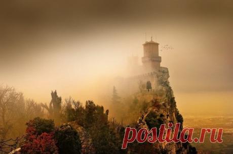 Яндекс.Картинки: поиск похожих картинок