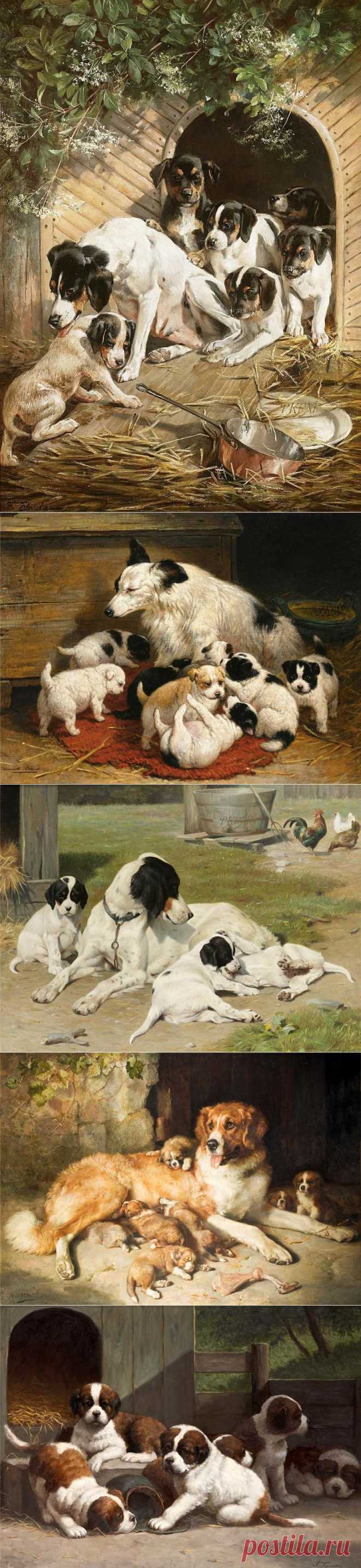 Dog....