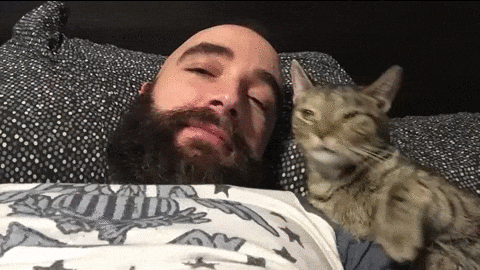 Вот почему коты обожают спать на людях