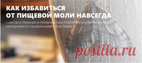 Как избавиться от пищевой моли на кухне - 5 шагов устранения и профилактики Как избавиться от моли навсегда с помощью пылесоса, специальных ловушек и народных средств. Подсказки по поиску личинок и яиц, советы по профилактике и способы спасения потенциально зараженных продуктов.