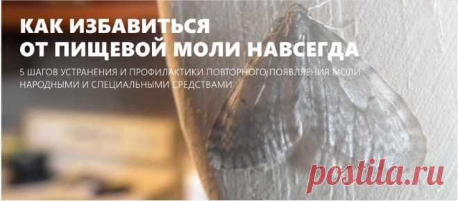 Как избавиться от пищевой моли на кухне - 5 шагов устранения и профилактики Как избавиться от моли навсегда с помощью пылесоса, специальных ловушек и народных средств. Подсказки по поиску личинок и яиц, советы по профилактике и способы спасения потенциально зараженных продуктов.