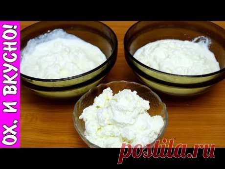 Рецепт Разоблачение.  Какие Три Продукта Получатся Из Кефира.