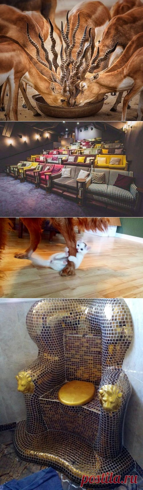 Прикольные картинки в тему